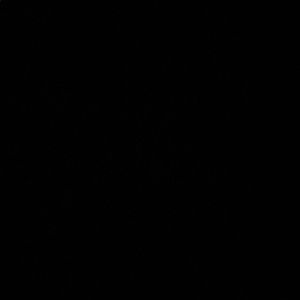 Meet your Posher, Zenadia